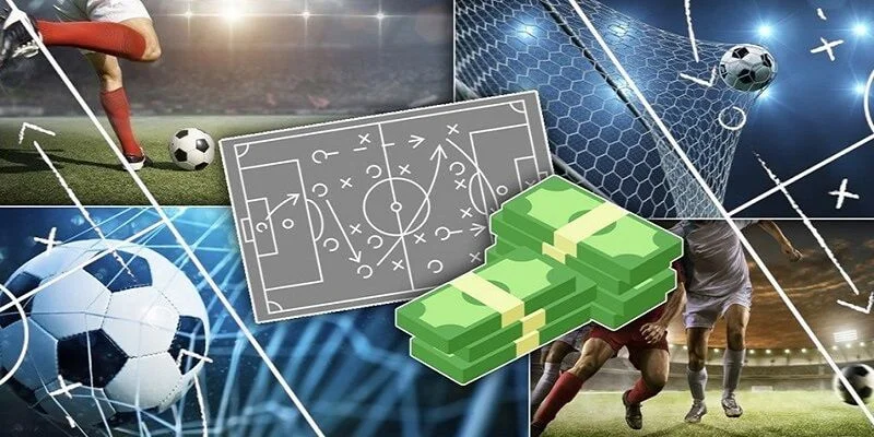 Cập nhật liên tục thông tin để quá trình cược chuẩn hơn