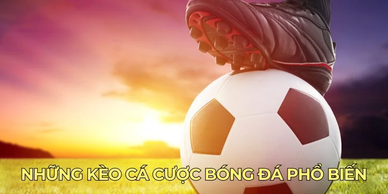 Những kèo cá cược bóng đá phổ biến